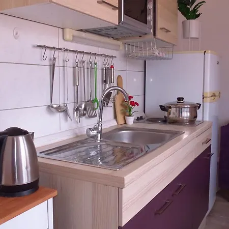 Grubisin 아파트 *